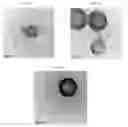 Fig. 06 - Nanocarriers for imaging and therapy applications