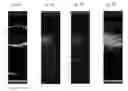 Fig. 08 - Nanocarriers for imaging and therapy applications