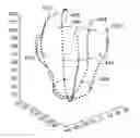 Fig. 01 - Systems and Methods for Determining Global Circumferential Strain in Cardiology