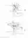 Fig. 02 - Hip orthosis, method for preventing the dislocation of a hip and use of a hip orthosis