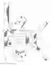 Fig. 02 - Knee brace