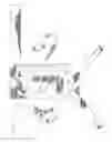 Fig. 04 - Knee brace