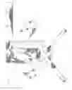 Fig. 05 - Knee brace