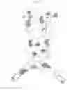Fig. 06 - Knee brace