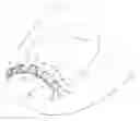 Fig. 01 - Nail correcting device and medical set for nail correction
