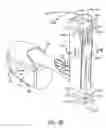 Fig. 04 - Robotic surgical systems with fluid flow control for irrigation, aspiration, and blowing