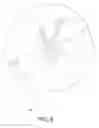 Fig. 09 - Inflatable retention system for enteral feeding device
