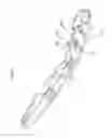 Fig. 41 - Universal catheter securement device