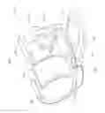 Fig. 53 - Universal catheter securement device