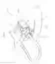 Fig. 55 - Universal catheter securement device