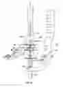 Fig. 41 - Lockable intramedullary fixation device