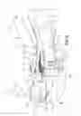 Fig. 09 - Bone fixation assembly