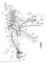 Fig. 17 - Bone fixation assembly