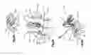Fig. 04 - Bone fixation assembly