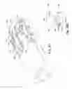 Fig. 25 - ENDOSCOPIC TISSUE APPOSITION DEVICE WITH MULTIPLE SUCTION PORTS