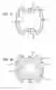 Fig. 32 - Multiple layer filamentary devices for treatment of vascular defects