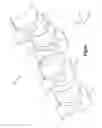 Fig. 02 - Vertebral adjustment systems for spine alignment