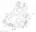 Fig. 01 - Soft tissue attachment system and clip