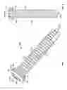 Fig. 05 - Bone plate having combination locking and compression screw holes