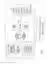 Fig. 03 - Systems and methods for delivering vagal nerve stimulation
