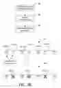 Fig. 05 - Methods and devices for accurately classifying cardiac activity