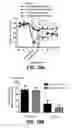 Fig. 15 - Stimulation therapy including substantially simultaneous bilateral stimulation