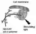 Fig. 01 - Photoelectrical devices for stimulating neurons