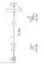 Fig. 37 - BALLOON CATHETER WITH INTEGRATED STOP FEATURE FOR PRECISE STENT PLACEMENT, FOR OSTIAL, RENAL AND OTHER LOCATIONS