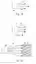 Fig. 06 - Delivery systems and methods of implantation for prosthetic heart valves
