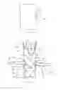 Fig. 08 - Endoluminal prosthesis comprising a valve replacement and at least one fenestration
