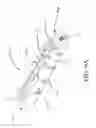 Fig. 10 - INTERVERTEBRAL IMPLANT