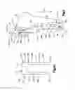 Fig. 06 - SYSTEM AND METHODS FOR PATELLAR TENDON ADVANCEMENT IN QUADRUPEDS