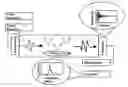 Fig. 01 - DETERMINATION OF FRACTIONAL COMPOSITIONS USING NONLINEAR SPECTROPHONOMETRY
