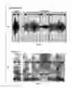 Fig. 01 - Consonant-segment detection apparatus and consonant-segment detection method