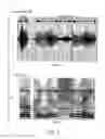 Fig. 02 - Consonant-segment detection apparatus and consonant-segment detection method