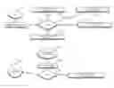 Fig. 01 - Systems and methods for purchasing insurance