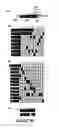 Fig. 09 - Method and apparatus for collection, display and analysis of disparate data