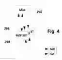 Fig. 07 - Method for matching queries with answer items in a knowledge base