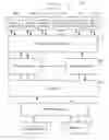 Fig. 01 - SYSTEM AND METHOD FOR CREATING A MEDIA RICH, LINEAR AND NON-LINEAR, INTERACTIVE COMMUNICATION, EDUCATION, STORYTELLING ENVIRONMENT AND DEVELOPMENT TOOLS THEREFOR