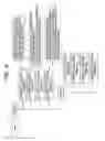 Fig. 10 - Checking of apparatus certificates and apply codes associated with apparatus identifiers found in apparatus certificates