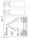 Fig. 16 - Checking of apparatus certificates and apply codes associated with apparatus identifiers found in apparatus certificates