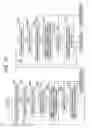 Fig. 25 - Checking of apparatus certificates and apply codes associated with apparatus identifiers found in apparatus certificates