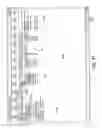 Fig. 38 - Generalized policy server