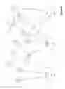 Fig. 07 - Automatic synchronization of media clips