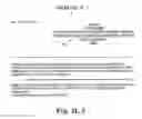 Fig. 56 - LITIGATION MANAGEMENT SYSTEM AND METHOD