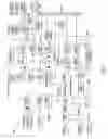 Fig. 06 - Automatic graphical rendering of processes