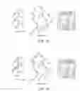 Fig. 30 - User input auto-completion