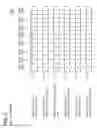 Fig. 03 - Management of conditional branches within a data parallel system
