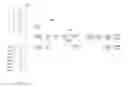 Fig. 13 - Method and apparatus for data rate controller for a code block multiplexing scheme