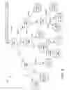 Fig. 05 - Rule-based content handling